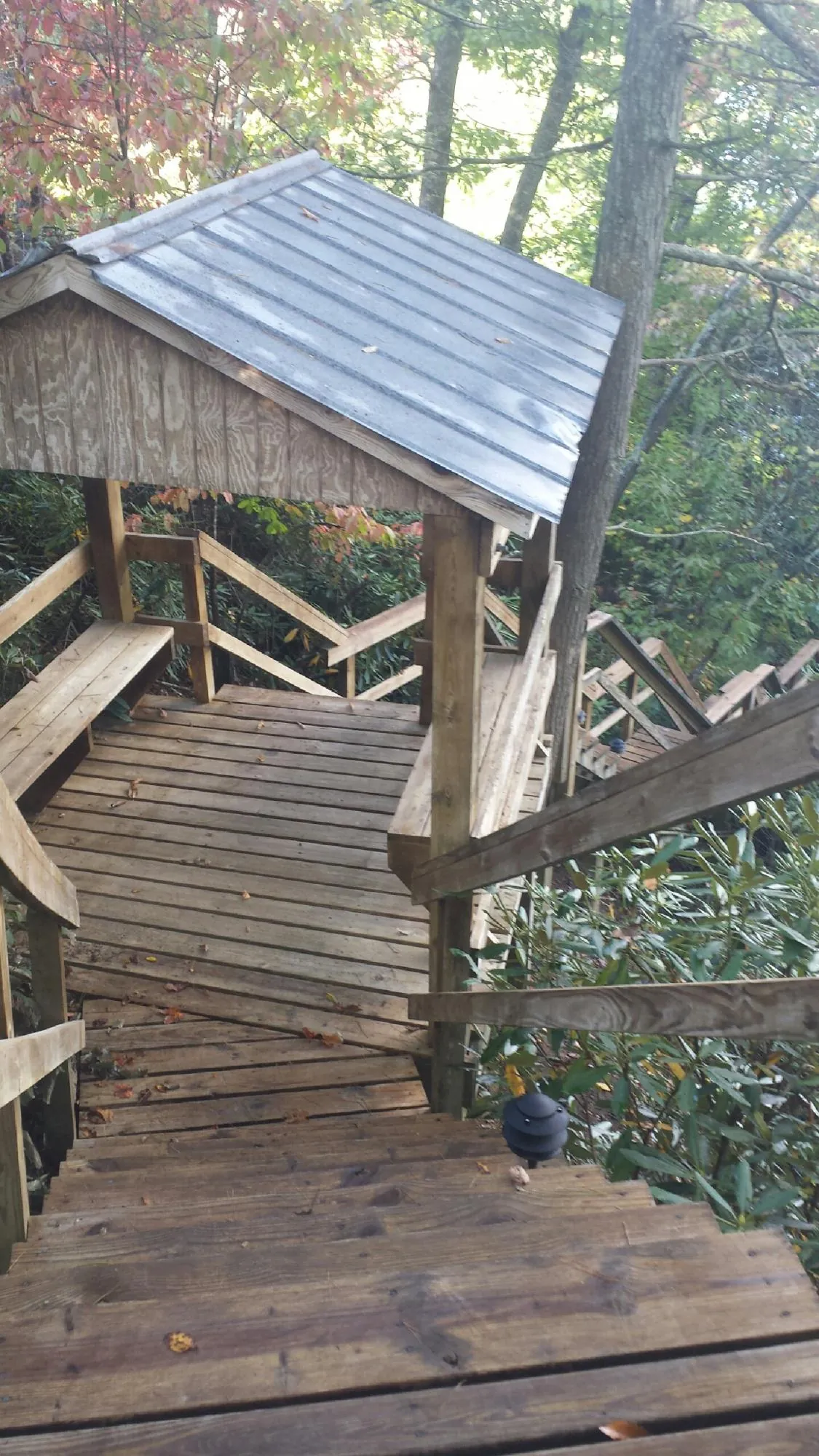 Metal roofed shelter over wooden steps on a wooded walkway — Skylight Repair & Installation work by our crew in Rogerson